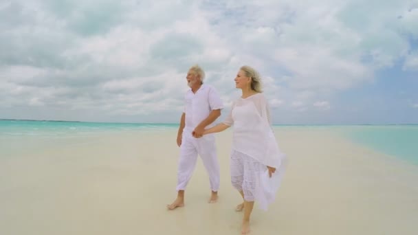 Amar pareja de ancianos en la playa — Vídeo de stock