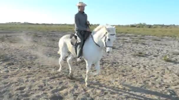 Cowboy jazda na biały koń Camargue — Wideo stockowe