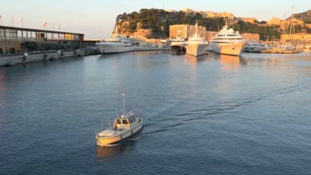 Monte Carlo harbor z luksusowych jachtów — Wideo stockowe