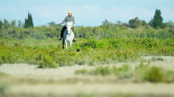 Cowboy equitação no branco camargue cavalo — Vídeo de Stock