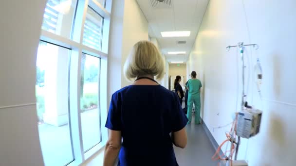 Female nurse walking on corridor in medical center — Stock Video