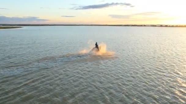 Cowboy Ridning på vita Camargue häst — Stockvideo