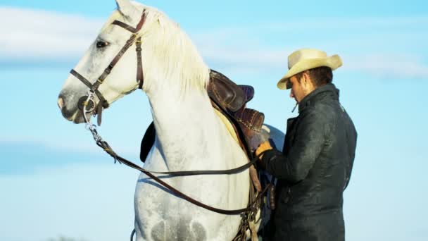Manliga cowboy står med vita hästen — Stockvideo