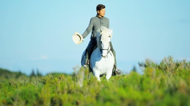 Vaquero montando en blanco caballo Camargue — Vídeo de stock