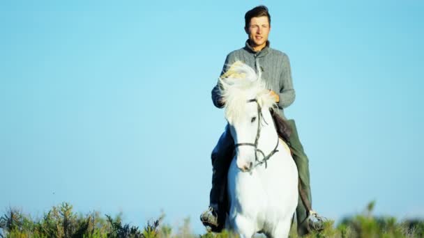 Cow-boy chevauchant sur cheval Camargue blanc — Video