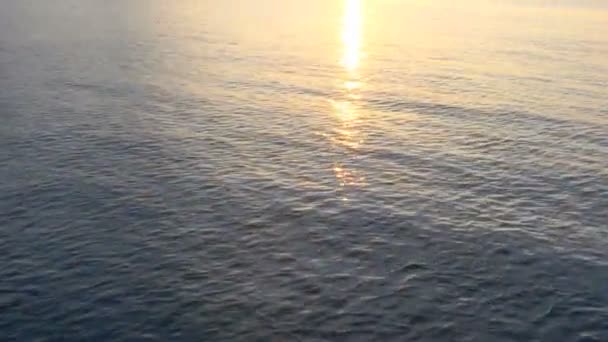 Monte Carlo hamnen vid solnedgången — Stockvideo