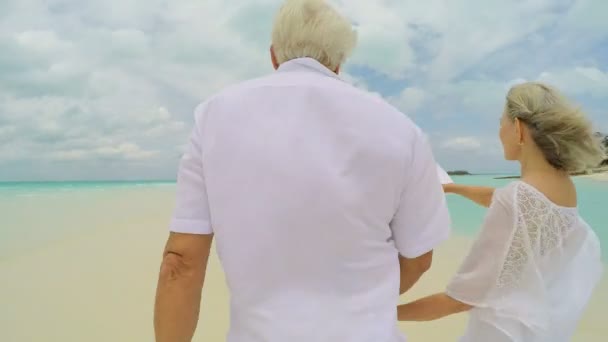 Pensionerade seniorer på tropical beach — Stockvideo