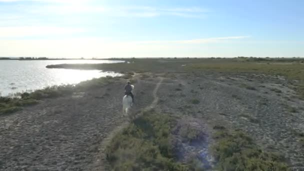 Cowboy riding on white Camargue horse — Stock Video