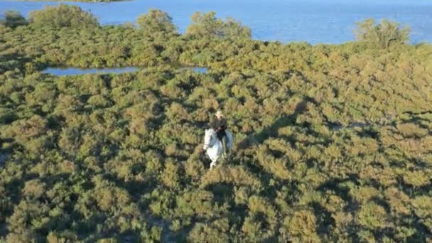 Cowboy riding on white Camargue horse — Stock Video
