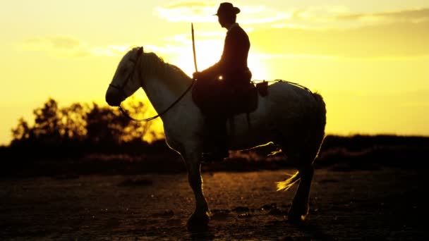 Kovboj na koni na bílém koni — Stock video