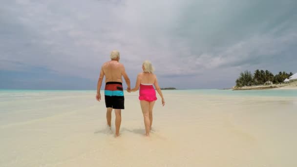Senior couple at tropical beach — Stock Video