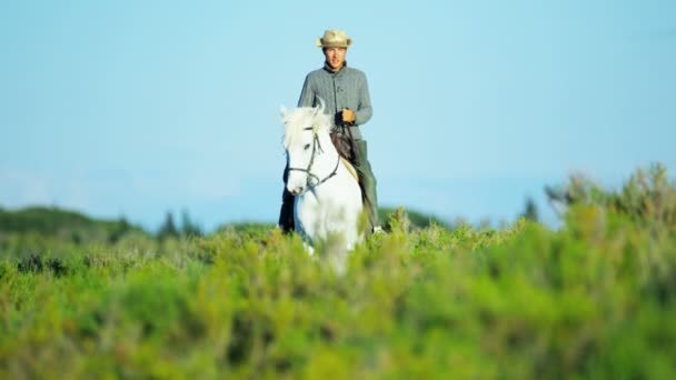 Cowboy equitação no branco camargue cavalo — Vídeo de Stock