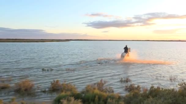 Cowboy Ridning på vita Camargue häst — Stockvideo