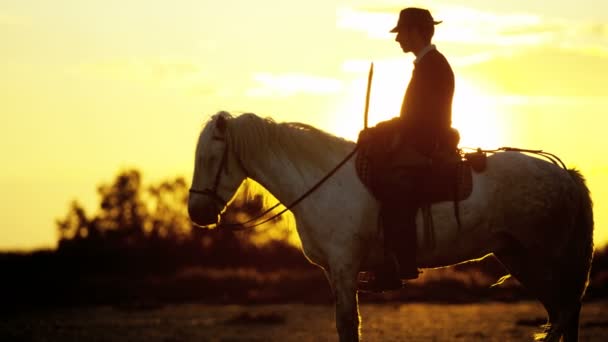 Cowboy montando no cavalo branco — Vídeo de Stock