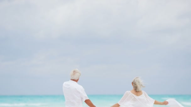 Couple de personnes âgées profitant de vacances sur la plage — Video