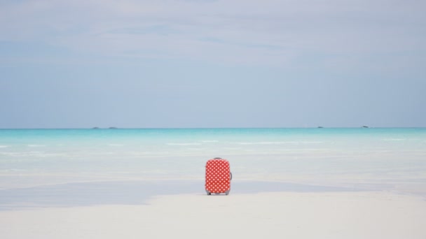 Valise sur une plage de sable tropical — Video