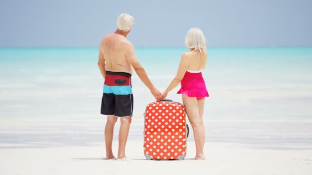 Coppia anziana godendo di vacanza sulla spiaggia — Video Stock
