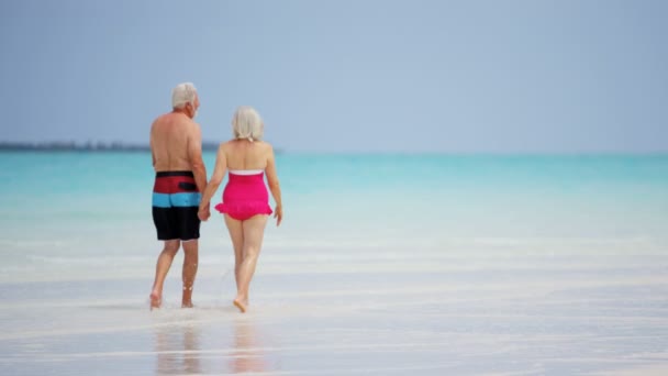 Pareja de ancianos disfrutando de vacaciones en la playa — Vídeo de stock