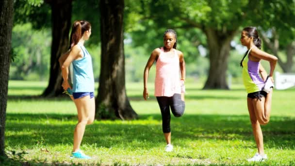 Multi etniska flickor njuter av stretching i park — Stockvideo