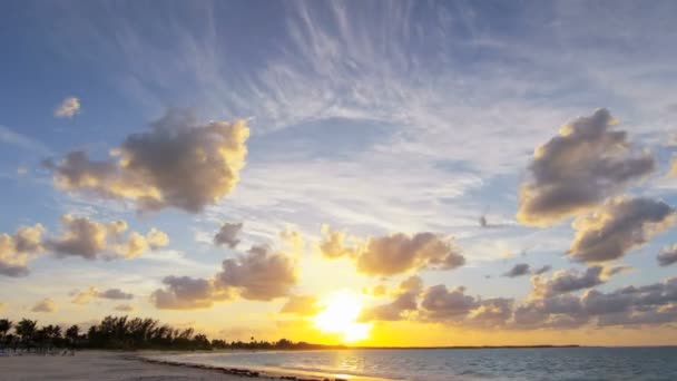 Ocean waves washing sandy beach at sunset — Stock Video