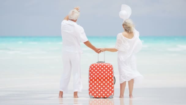 Senior paar genieten van vakantie op strand — Stockvideo