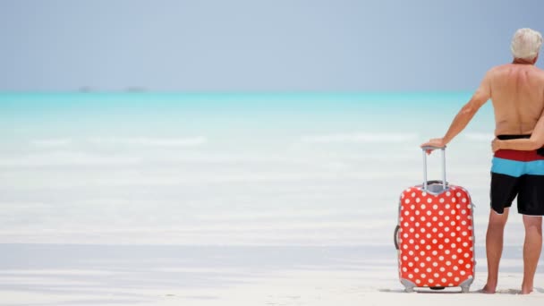 Couple de personnes âgées profitant de vacances sur la plage — Video