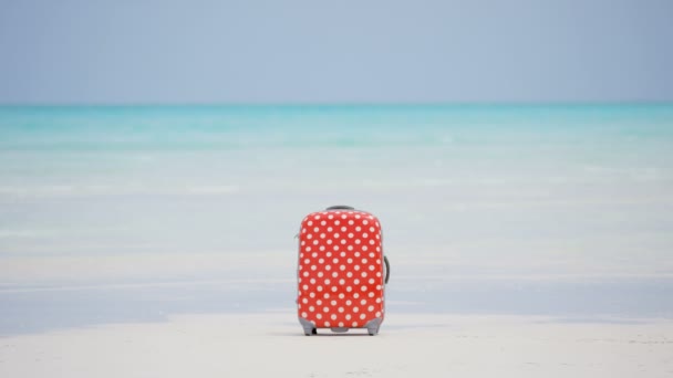 Valise sur une plage de sable tropical — Video