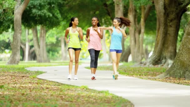 Multi niñas étnicas poder caminar en el parque — Vídeos de Stock