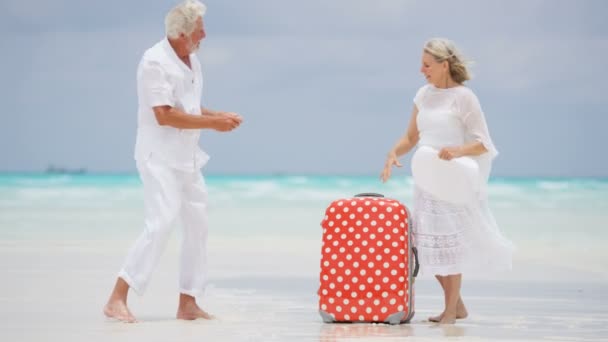 Pareja de ancianos tomando fotos en la playa — Vídeos de Stock