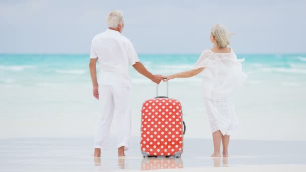Casal sênior desfrutando de férias na praia — Vídeo de Stock