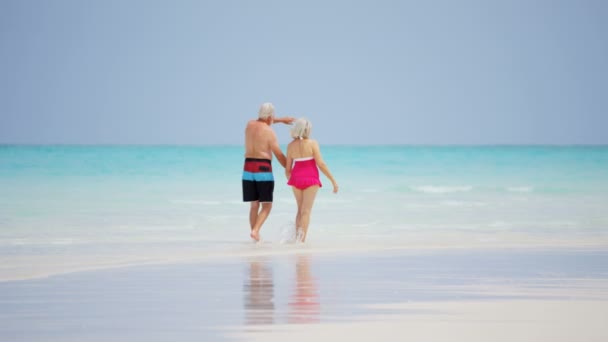 Casal sênior desfrutando de férias na praia — Vídeo de Stock