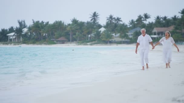 Couple de personnes âgées profitant de vacances sur la plage — Video