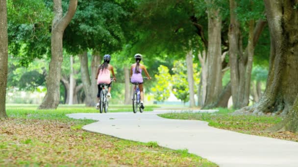 Multi etniska kvinnor ridning cyklar i parken — Stockvideo