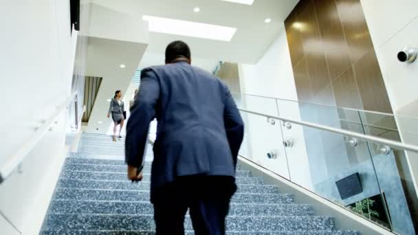 Multi ethnic business people in office building — Stock Video