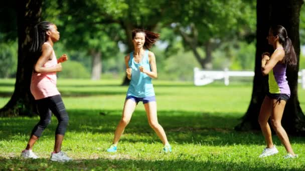Chicas multiétnicas disfrutando de fitness en el parque — Vídeos de Stock