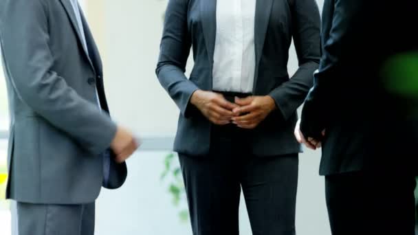 Gente de negocios multiétnicos en el edificio de oficinas — Vídeo de stock