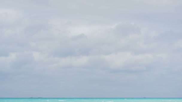 Чемодан на тропическом песчаном пляже — стоковое видео
