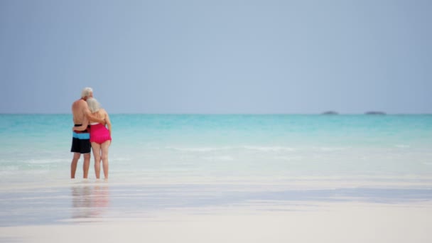 Senior paar genieten van vakantie op strand — Stockvideo