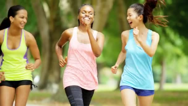 Multi poder meninas étnicas andando no parque — Vídeo de Stock