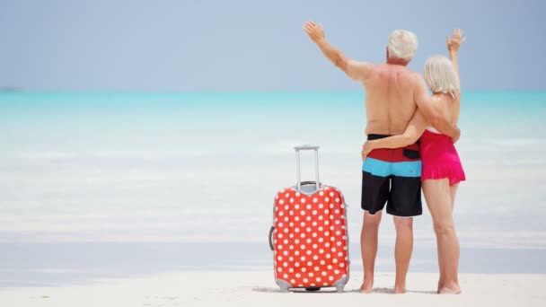 Senior couple enjoying vacation on beach — Stock Video