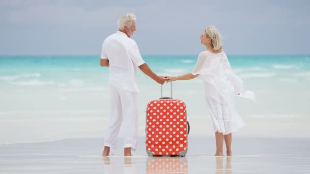 Casal sênior desfrutando de férias na praia — Vídeo de Stock