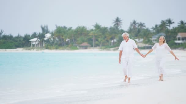 Pareja de ancianos disfrutando de vacaciones en la playa — Vídeos de Stock