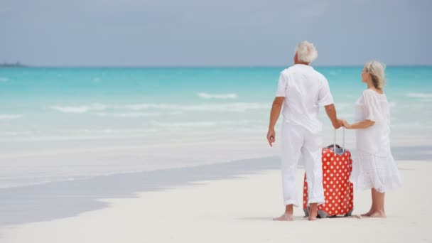 Senior couple enjoying vacation on beach — Stock Video