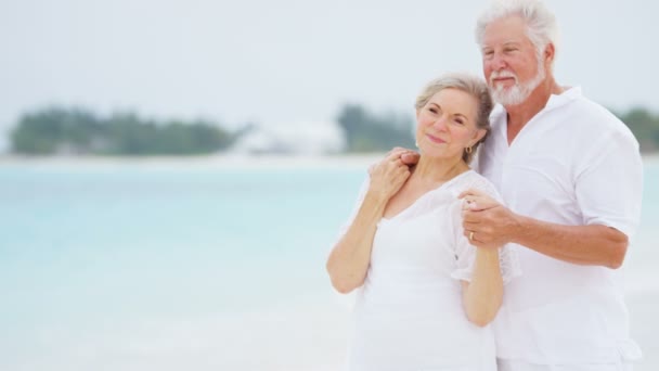 Pareja de ancianos disfrutando de vacaciones en la playa — Vídeo de stock