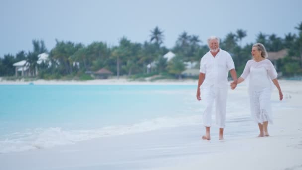 Pasangan senior menikmati liburan di pantai — Stok Video