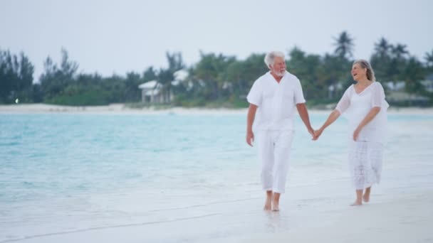 Pareja de ancianos disfrutando de vacaciones en la playa — Vídeo de stock