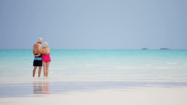 Senior paar genieten van vakantie op strand — Stockvideo