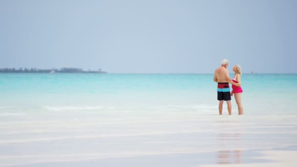 年长的夫妇在海滩上享受假期 — 图库视频影像