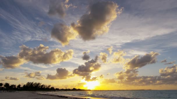Gün batımında kumsal yıkama okyanus dalgaları — Stok video