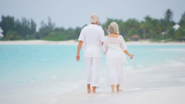 Coppia anziana godendo di vacanza sulla spiaggia — Video Stock